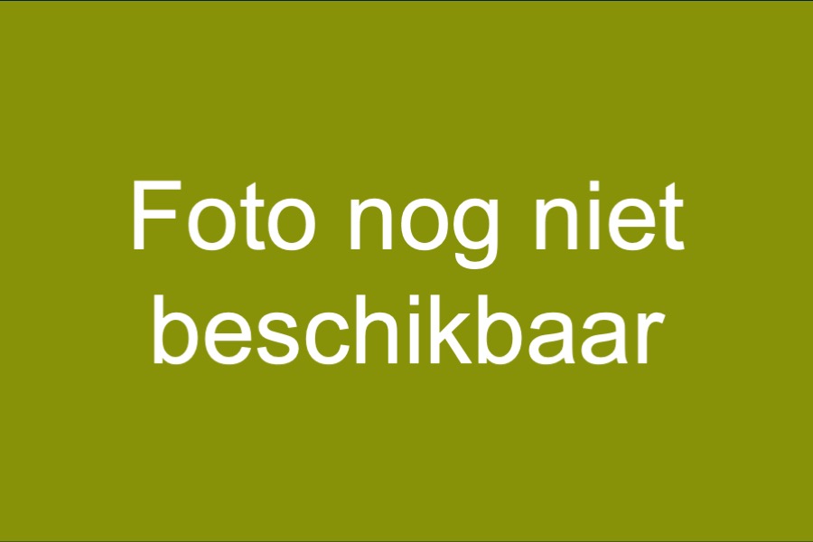 Aardbeientaart zonder slagroom (€28)